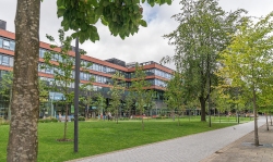University Green